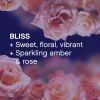 Downy Infusions Fabric Softener Dryer Sheets, Bliss, Sparkling Amber & Rose, 160 Ct